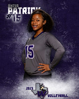 Warren_VB_JV_Ind1-15