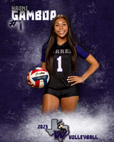 Warren_VB_Var_Ind1-35