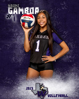 Warren_VB_Var_Ind1-69
