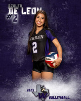 Warren_VB_Var_Ind1-36