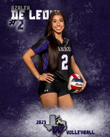 Warren_VB_Var_Ind1-53