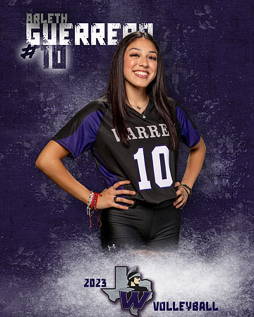 Warren_VB_Var_Ind1-27