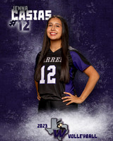 Warren_VB_Var_Ind1-12