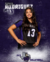 Warren_VB_Var_Ind1-30