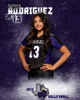 Warren_VB_Var_Ind1-13