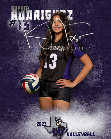 Warren_VB_Var_Ind1-64