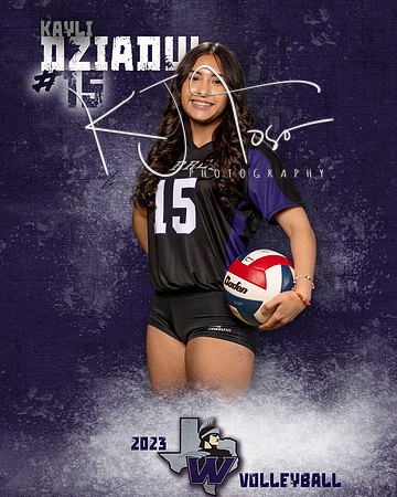 Warren_VB_Var_Ind1-49