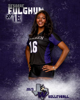 Warren_VB_Var_Ind1-16