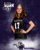 Warren_VB_Var_Ind1-17