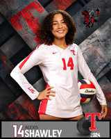 THS_JV_VB_IND2-44