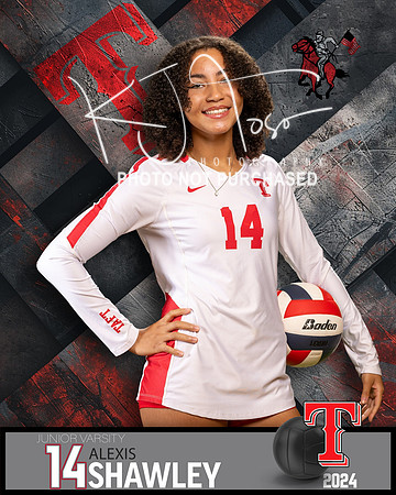 THS_JV_VB_IND2-44