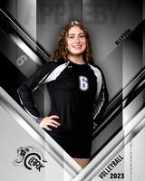 Clark_VB_JV_Ind1-18