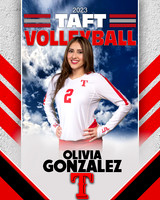 Taft_VB_JV_Ind1-01