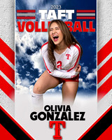 Taft_VB_JV_Ind1-45