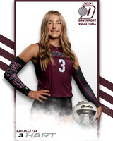 DHS_VAR_VB_IND2-33