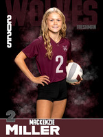 DHS_VB_9th_Ind1-20