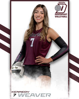 DHS_VAR_VB_IND2-52