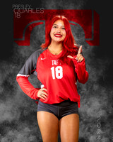 THS_VAR_VB_IND1-84