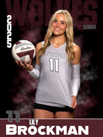 DHS_VB_Var_Ind1-71