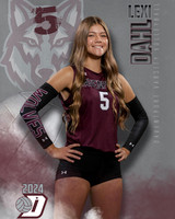DHS_VAR_VB_IND1-20