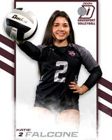 DHS_JV_VB_IND2-50