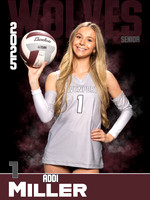 DHS_VB_Var_Ind1-61