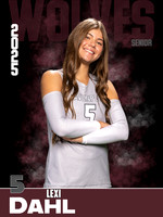 DHS_VB_Var_Ind1-20