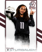 DHS_JV_VB_IND2-59