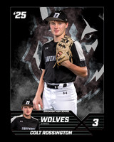 3 - Colt Rossington