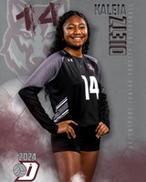DHS_JV_VB_IND1-24