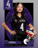 WHS_VAR_VB_IND1-38