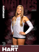 DHS_VB_Var_Ind1-3