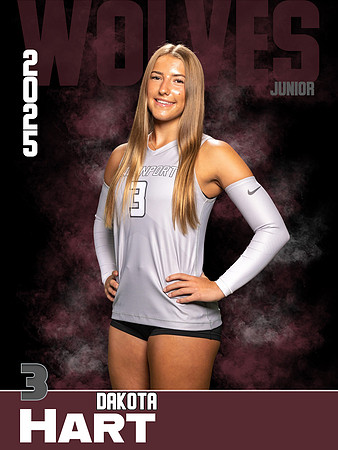 DHS_VB_Var_Ind1-3