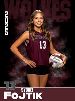 DHS_VB_JV_Ind1-45
