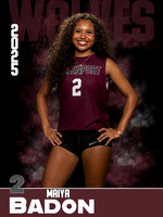 DHS_VB_JV_Ind1-2