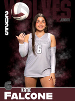 DHS_VB_Var_Ind1-81