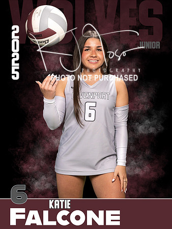 DHS_VB_Var_Ind1-81