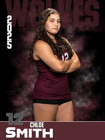 DHS_VB_JV_Ind1-12