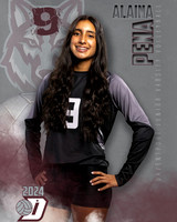 DHS_JV_VB_IND1-9
