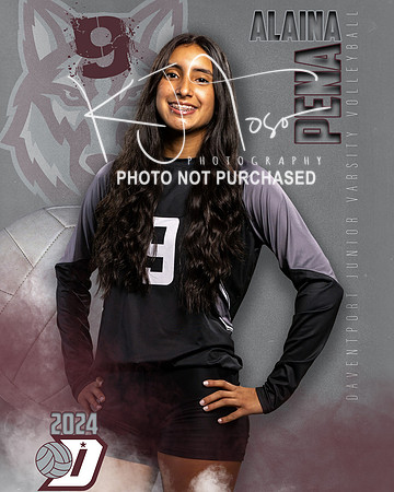 DHS_JV_VB_IND1-9