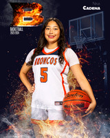 Brandeis_Var_Ind1-43