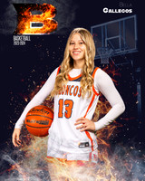 Brandeis_Var_Ind1-47