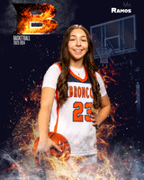 Brandeis_Var_Ind1-64