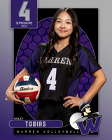 WHS_VAR_VB_IND1-55