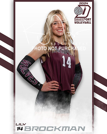 DHS_VAR_VB_IND2-29