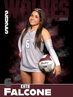 DHS_VB_Var_Ind1-51