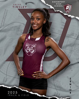 DHS_Track_Ind1-2