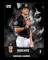 DHS_VAR_Ind1-35
