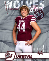 DHS_VAR_FB_IND1-40