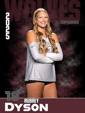 DHS_VB_Var_Ind1-30
